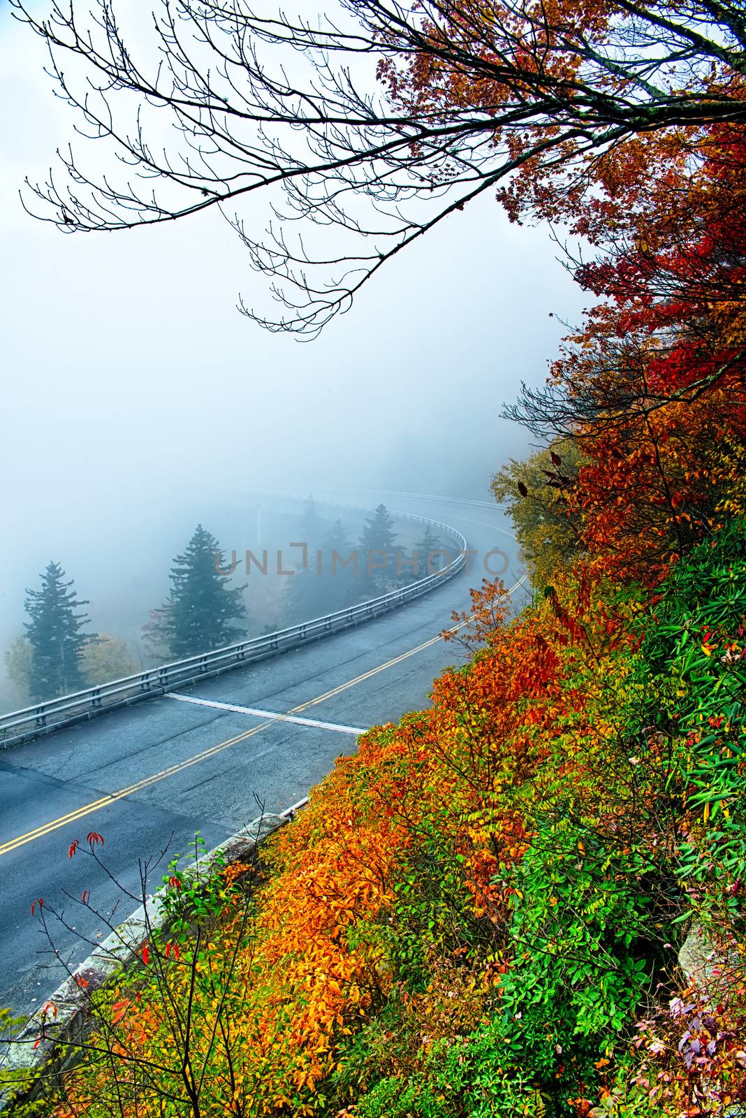 autumng season in the smoky mountains