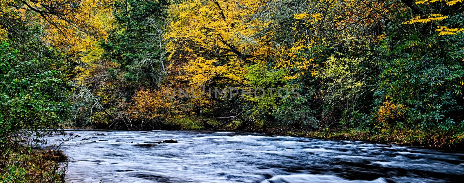 autumng season in the smoky mountains by digidreamgrafix