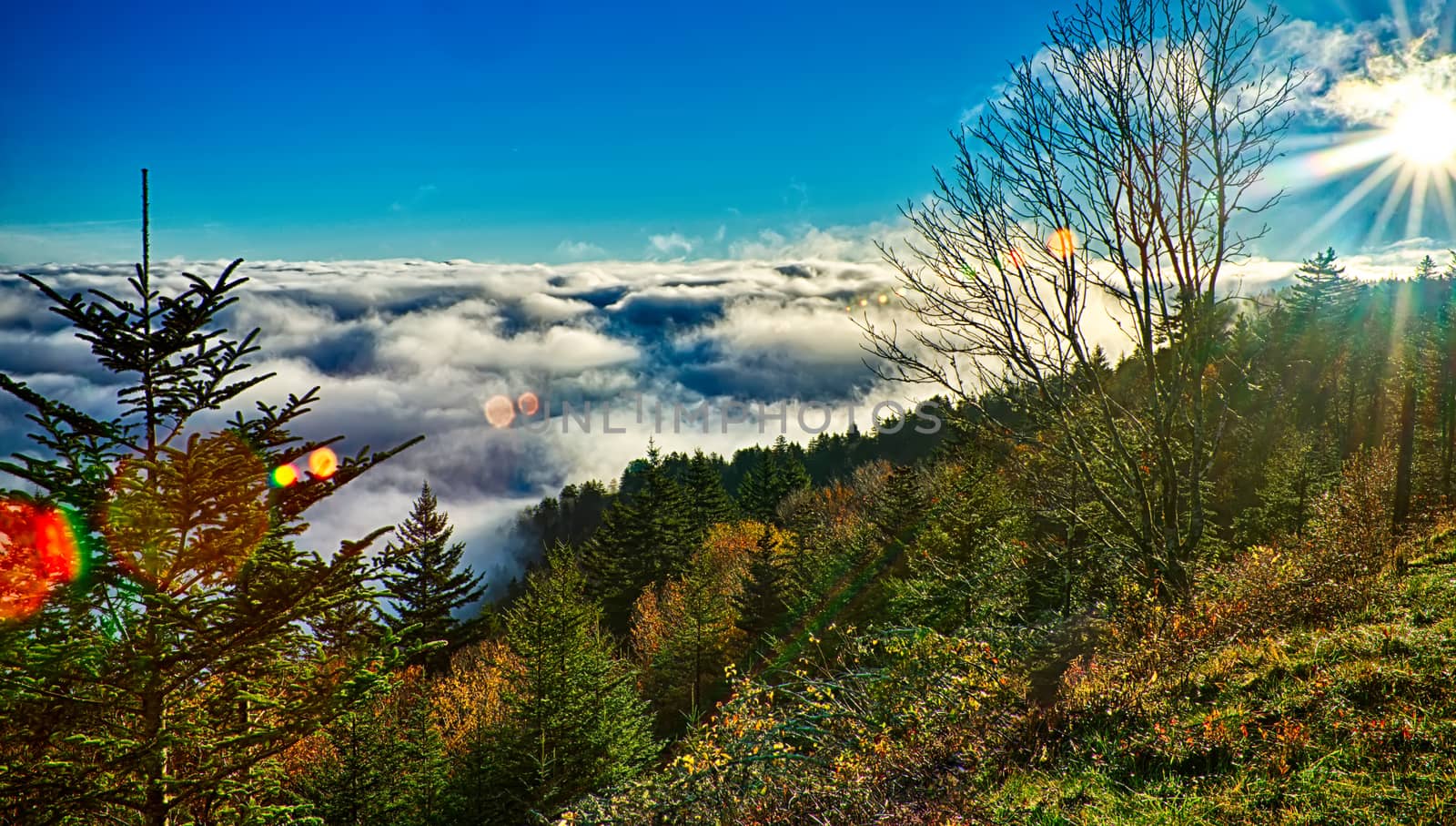 autumng season in the smoky mountains by digidreamgrafix