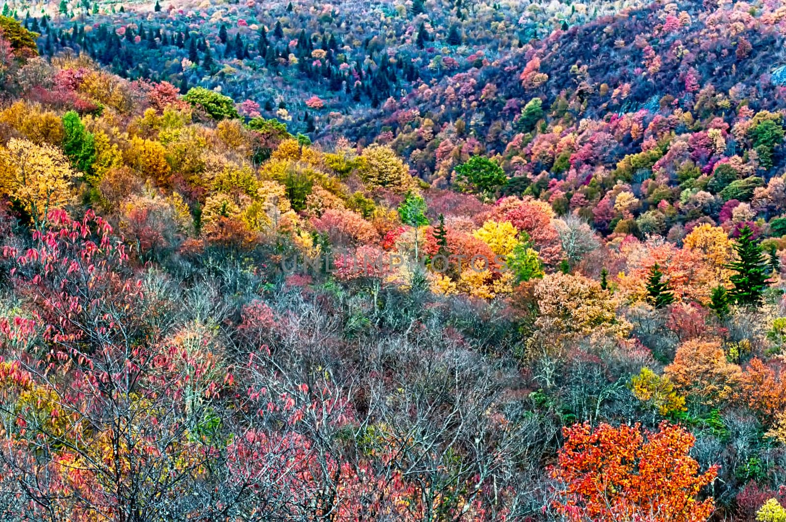 autumn drive on blue ridge parkway by digidreamgrafix