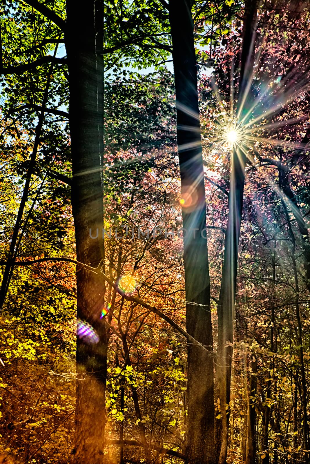 stone mountain north carolina scenery during autumn season by digidreamgrafix