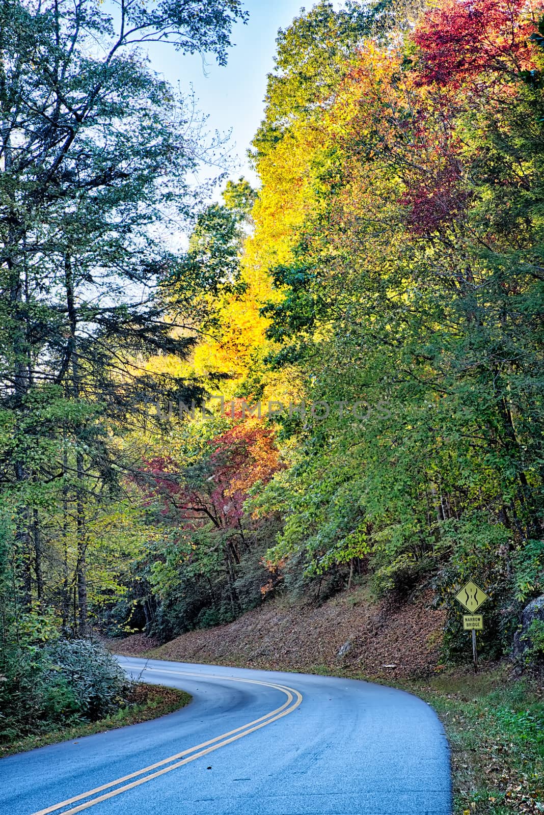 stone mountain north carolina scenery during autumn season