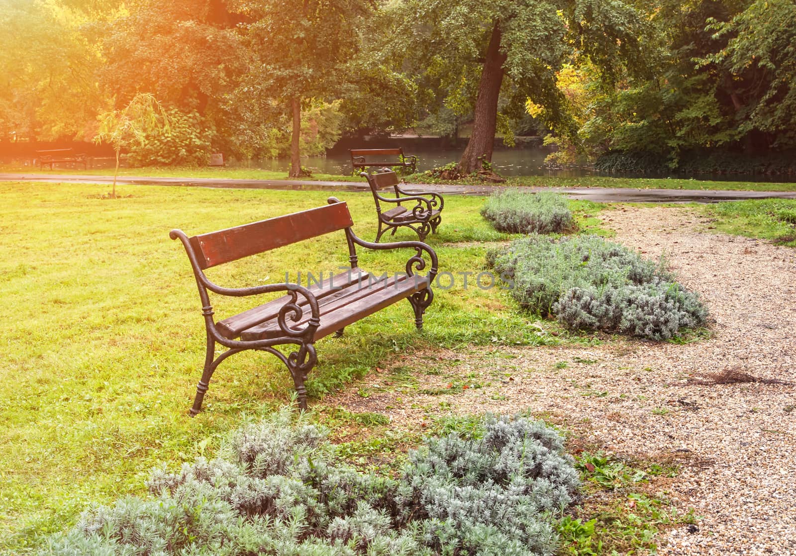 Stylish bench in the autumn park in the Morning Light