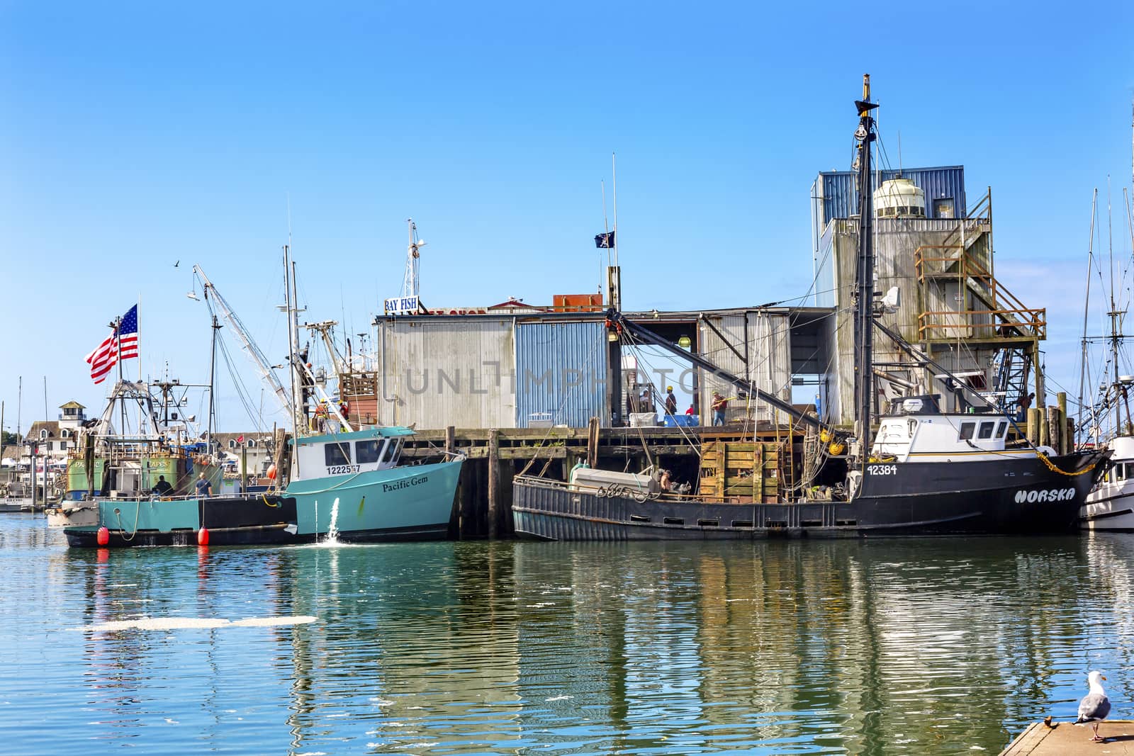 Fishing Processor Westport Grays Harbor Washington State by bill_perry