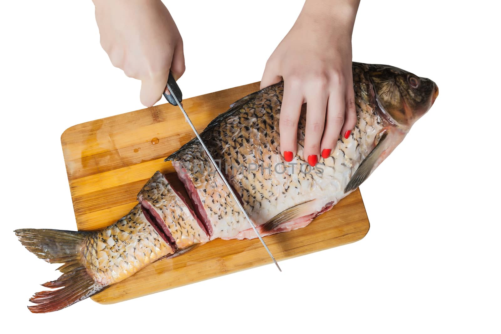 female hands with a knife cut fish on the white isolated background