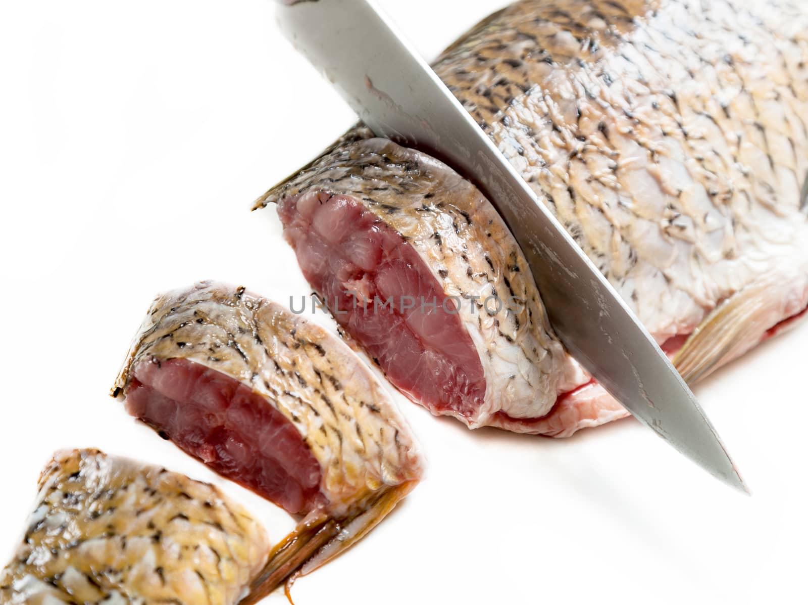 carp fish sliced with a knife on a white background isolated