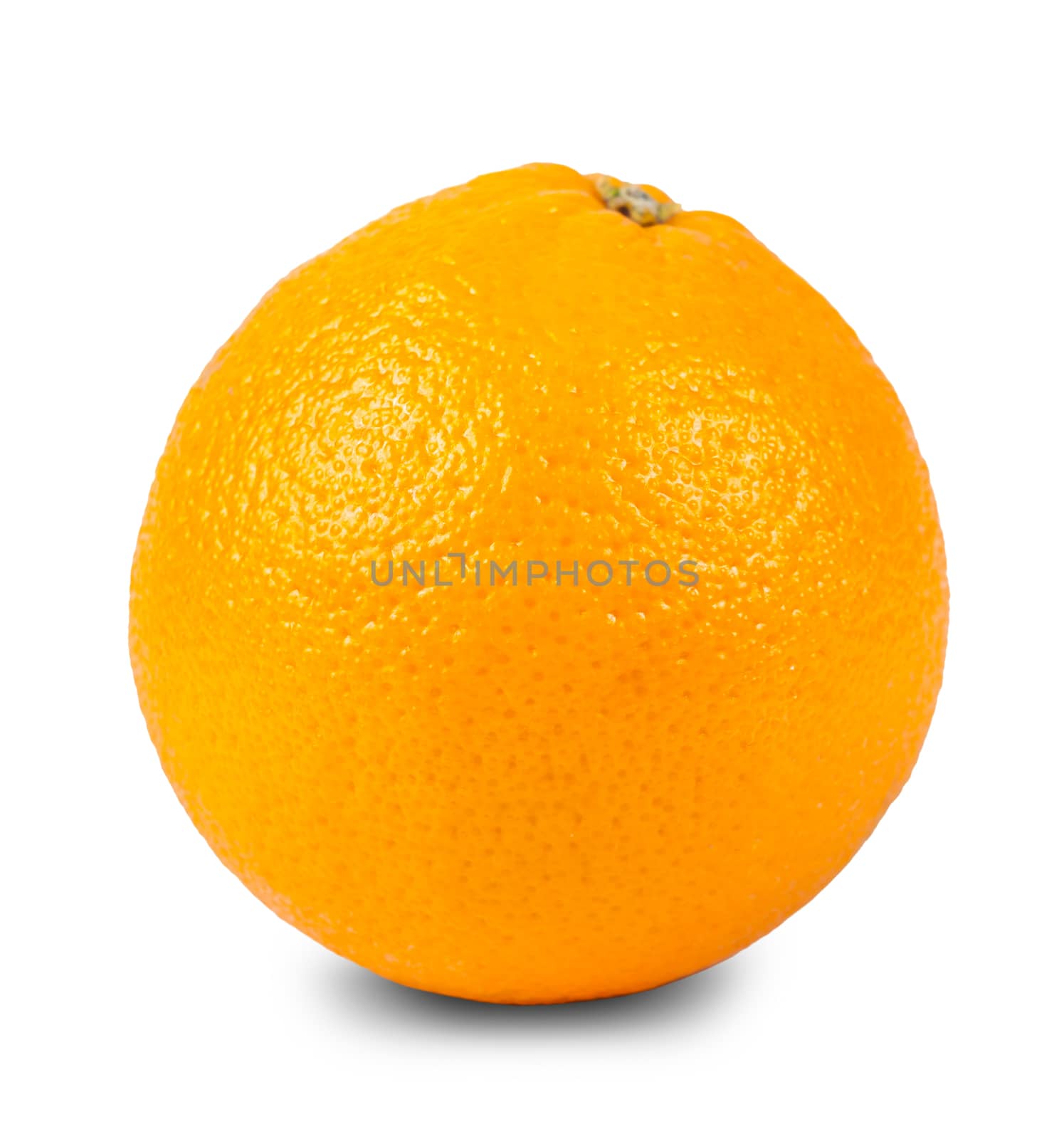 one orange closeup isolated on white background