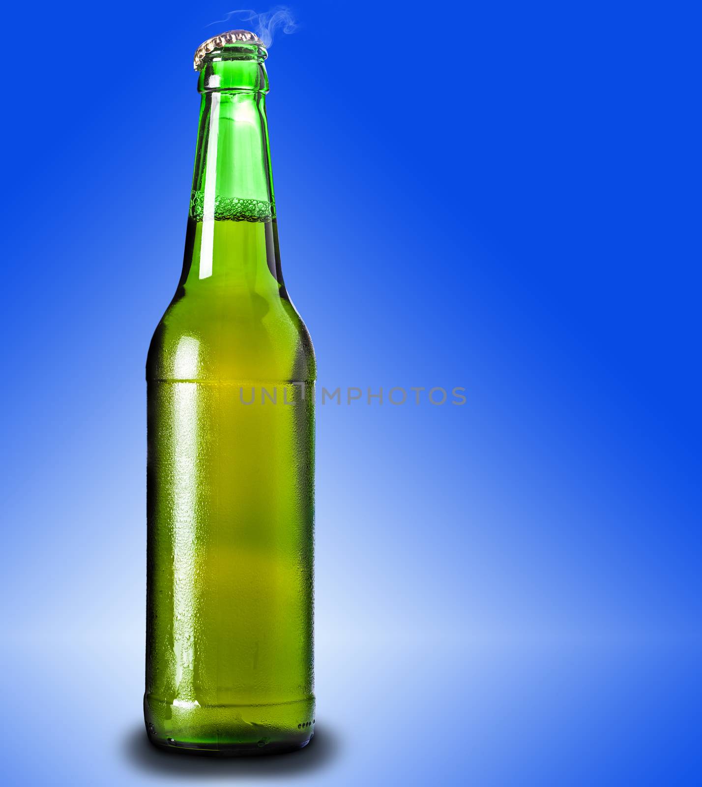lager beer in glass bottle  by MegaArt