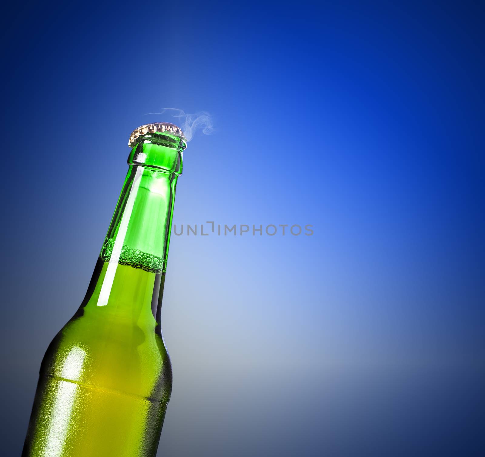 lager beer in bottle on a blue background
