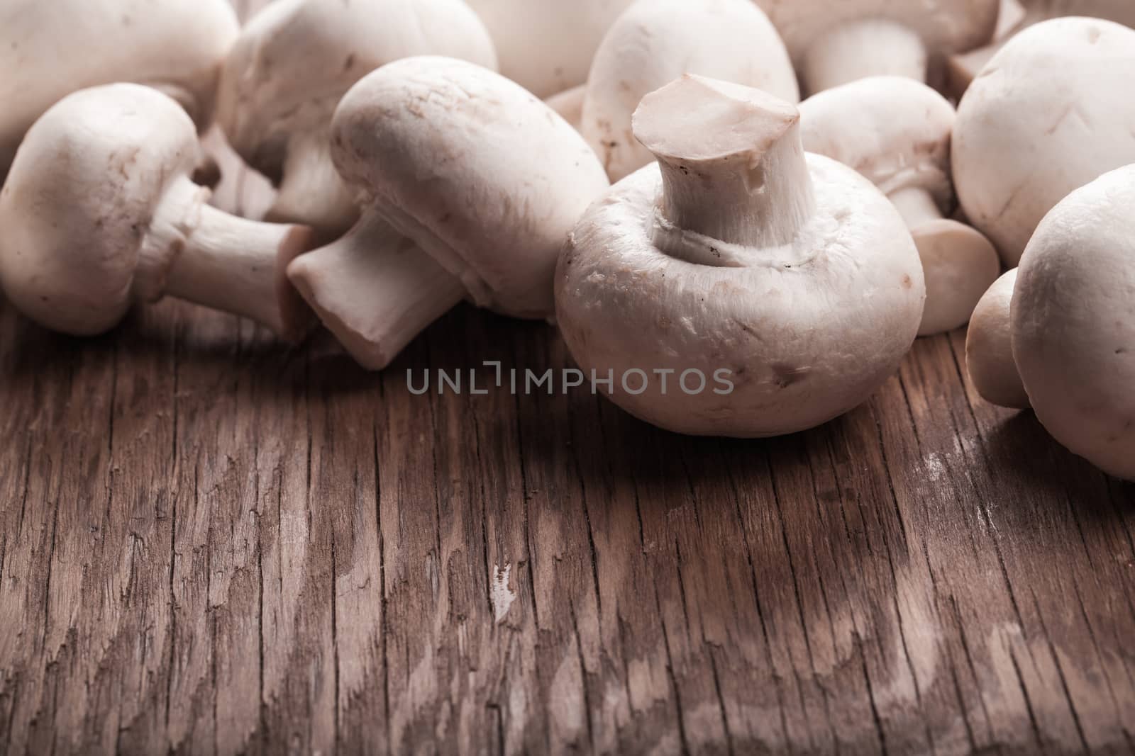 lots of fresh mushrooms lying  by MegaArt