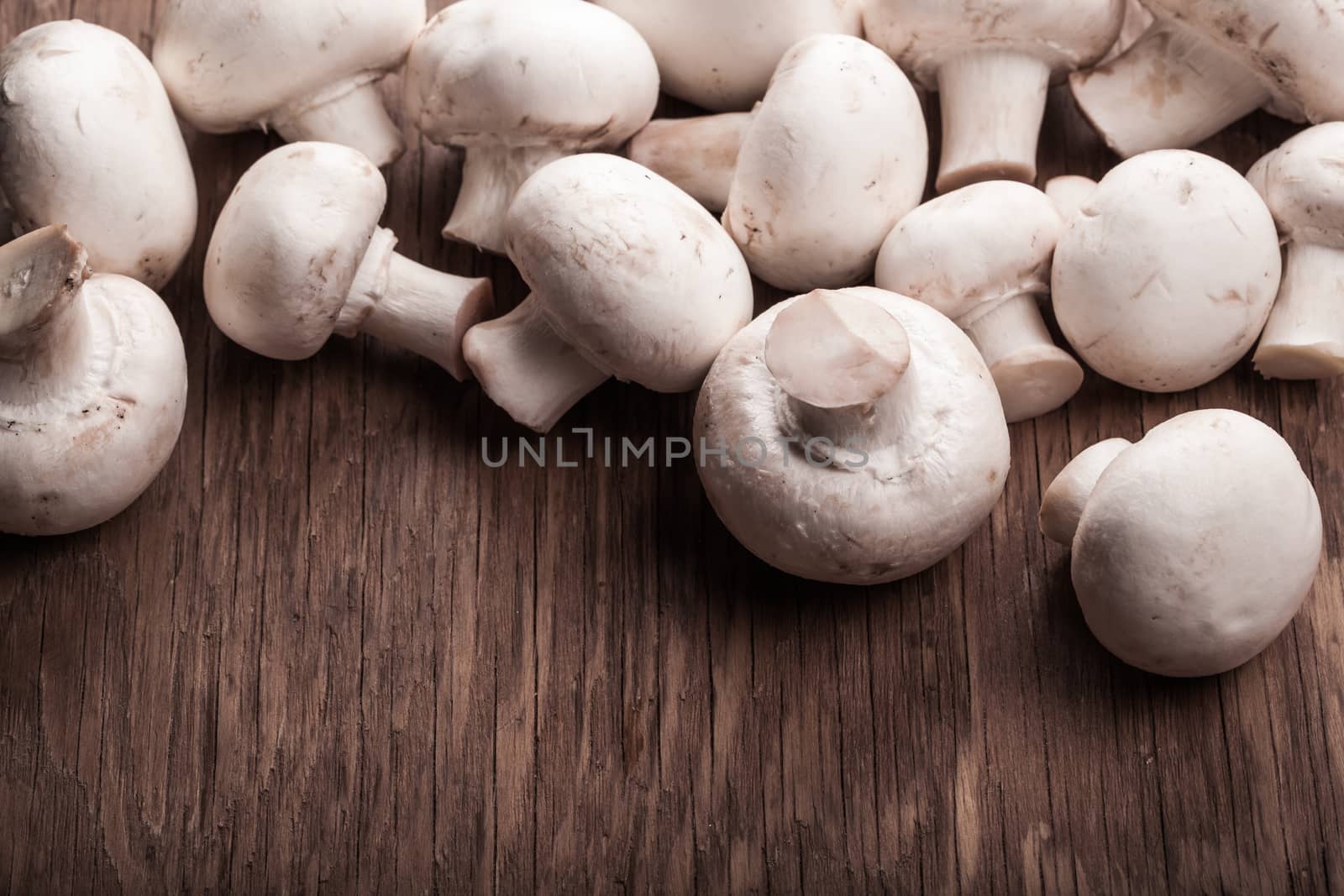 plenty of fresh mushrooms lying on a wooden background