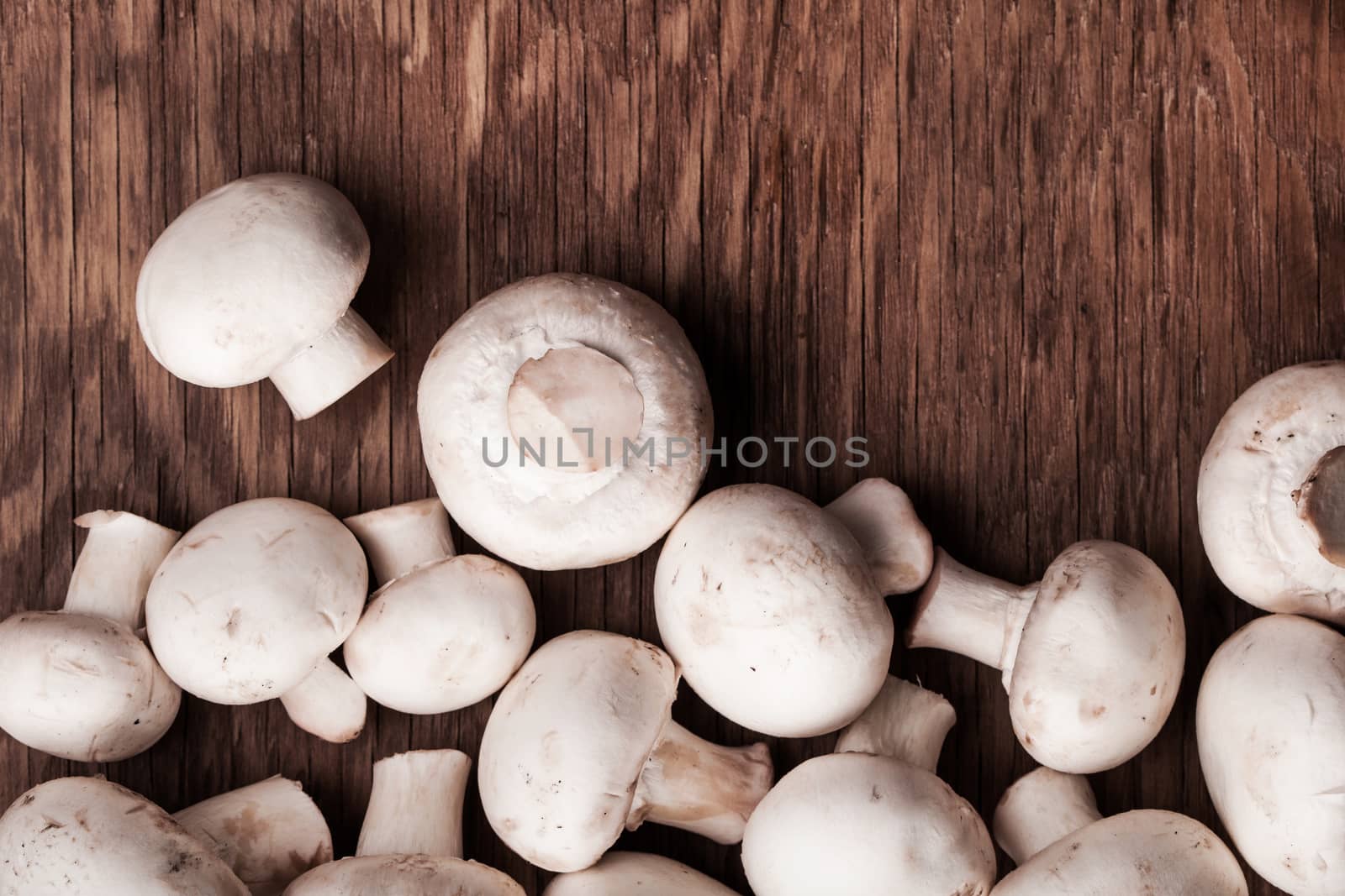plenty of fresh mushrooms  by MegaArt