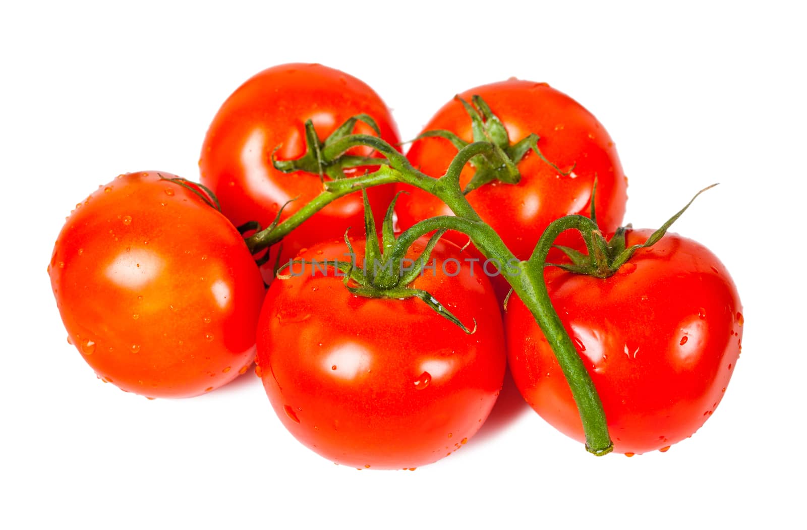 bunch of tomatoes closeup  by MegaArt