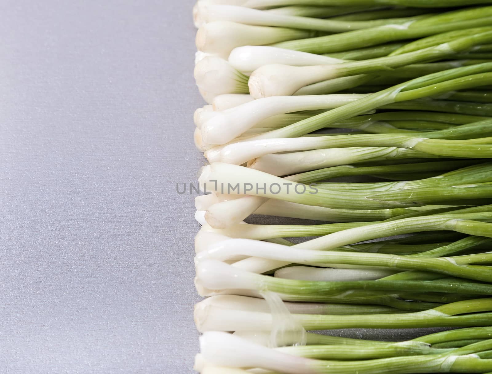 fresh young spring onions lies the vertically