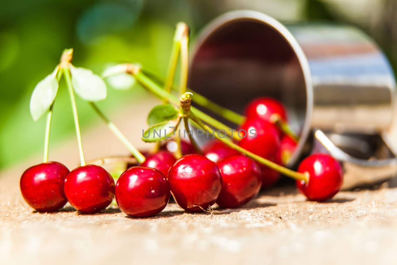 bunch of ripe cherries spilled from a metal mug