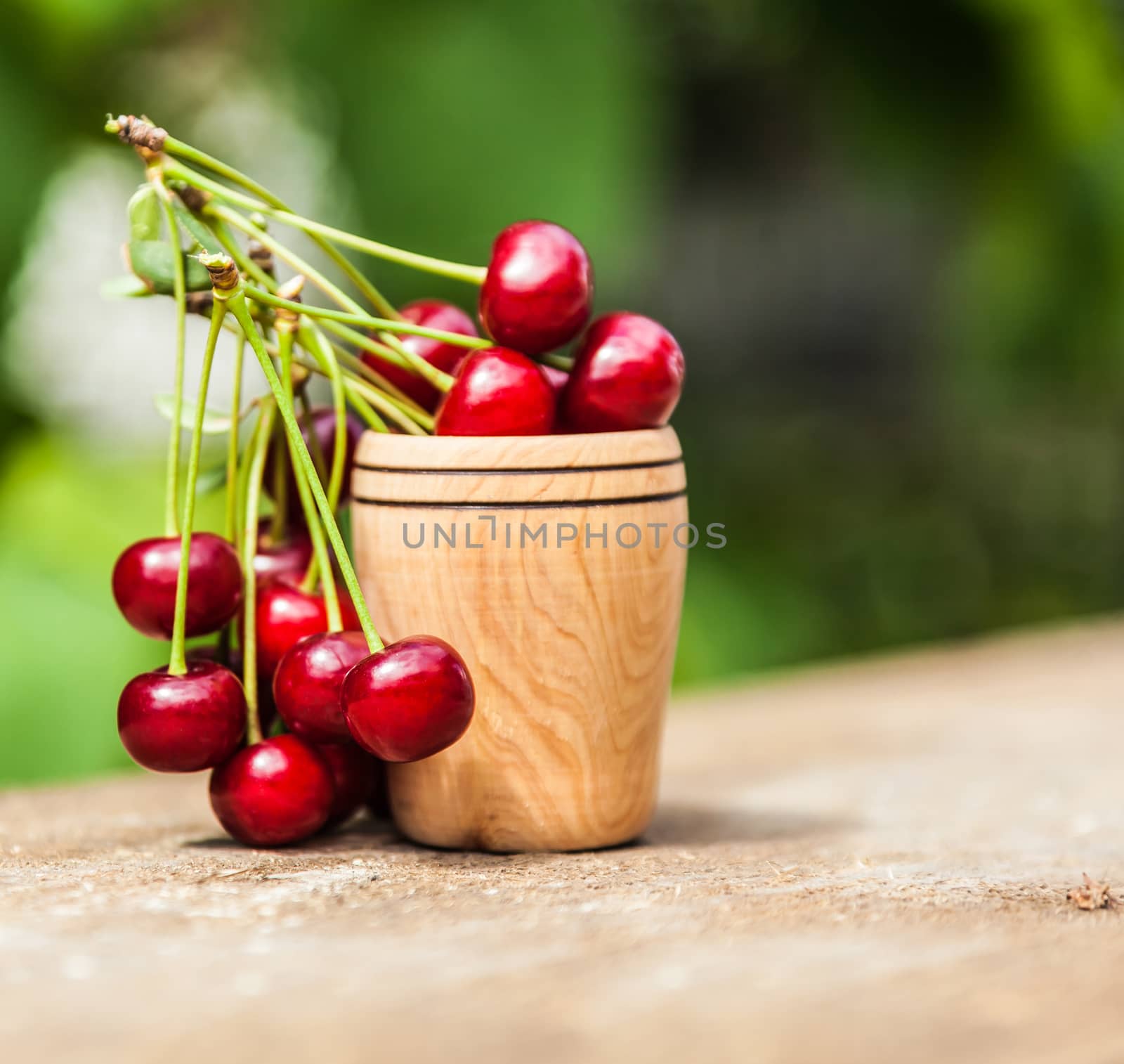bunch of ripe cherries with green leaves in a wooden cup