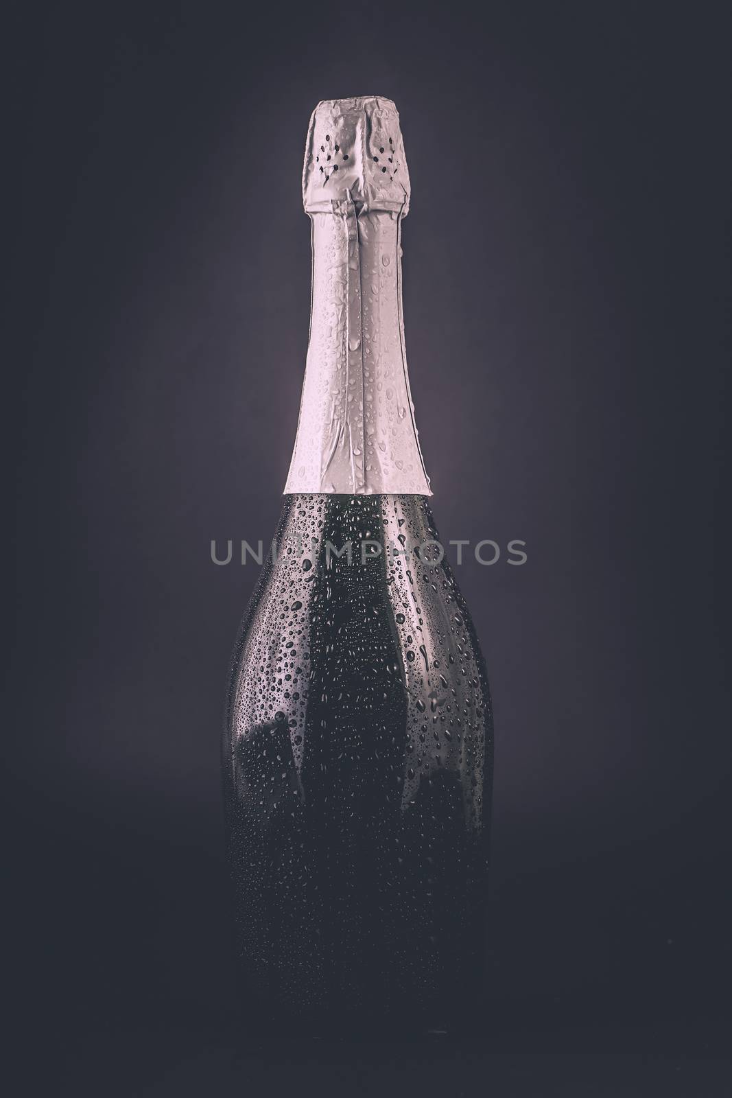 bottle of champagne in the drops of water on a dark background
