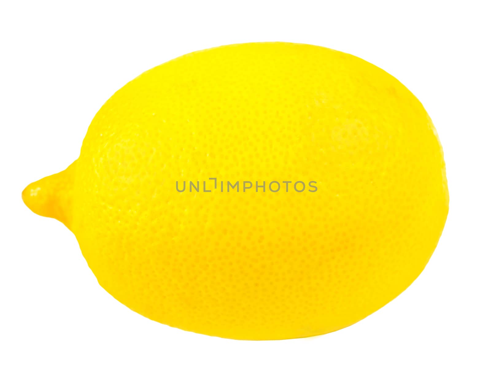ripe lemon closeup isolated on a white background