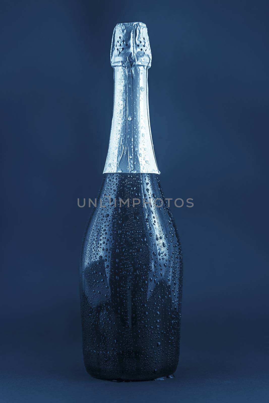 bottle of champagne in the droplets on a blue background