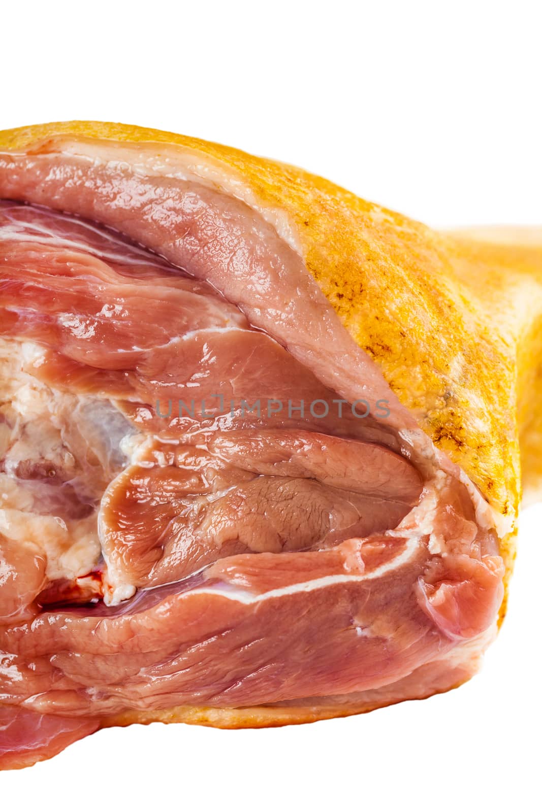 raw pork shank close-up, white background