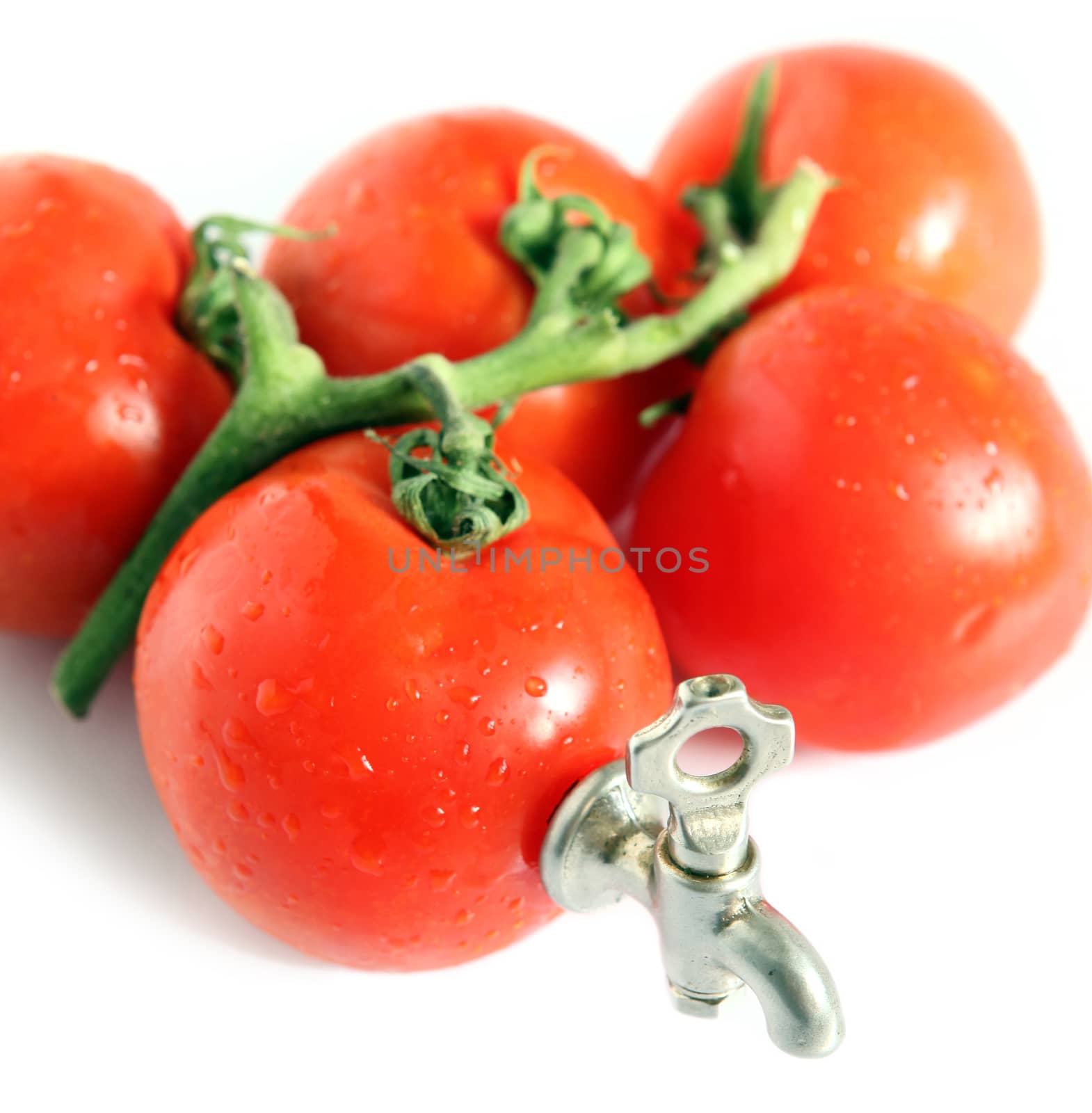 fresh tomato with  crane background
