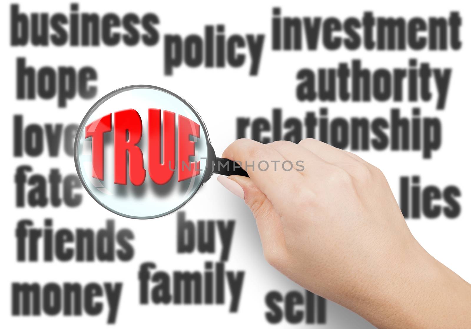 have to seek the truth in all of life, illustration