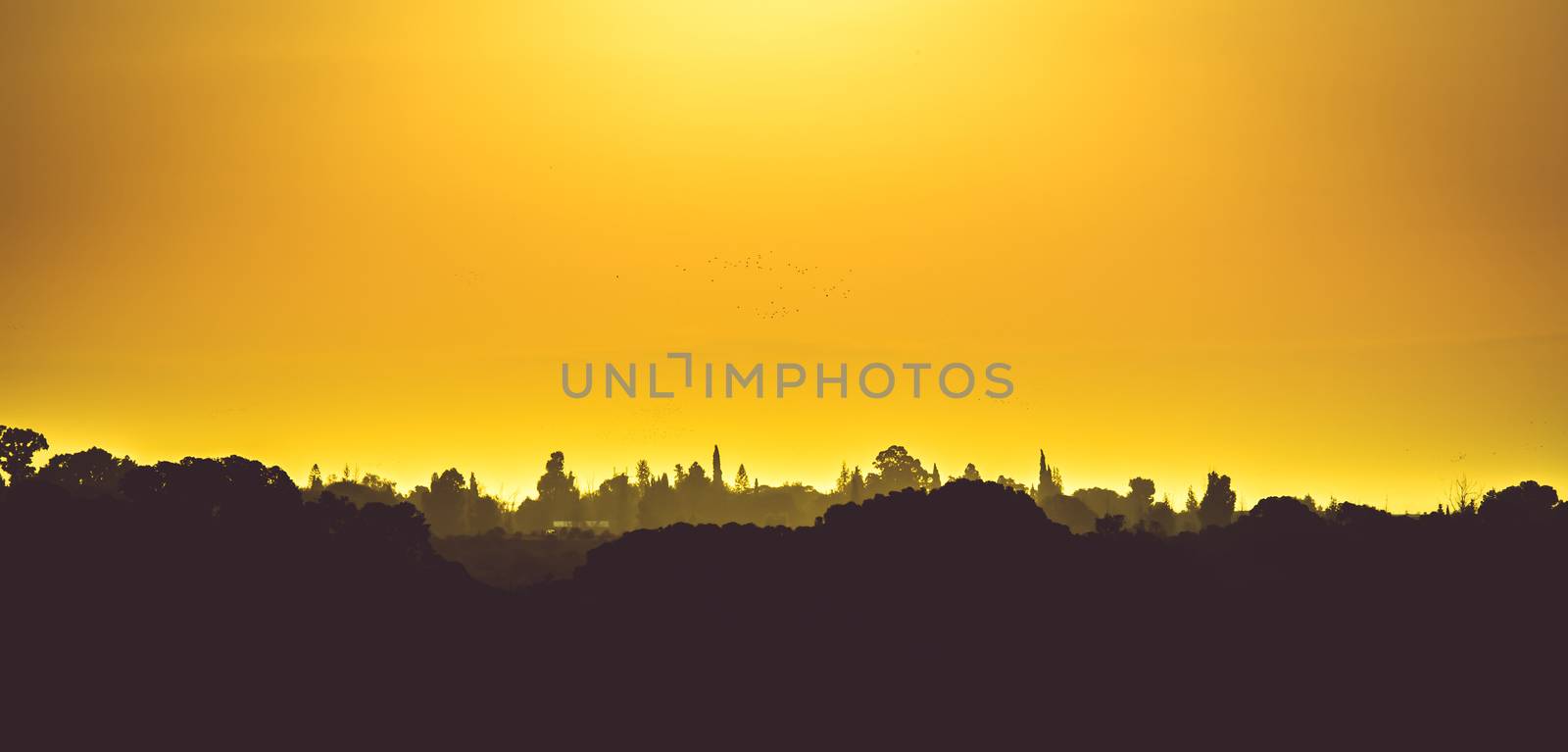 Arab settlement landscape at sunset