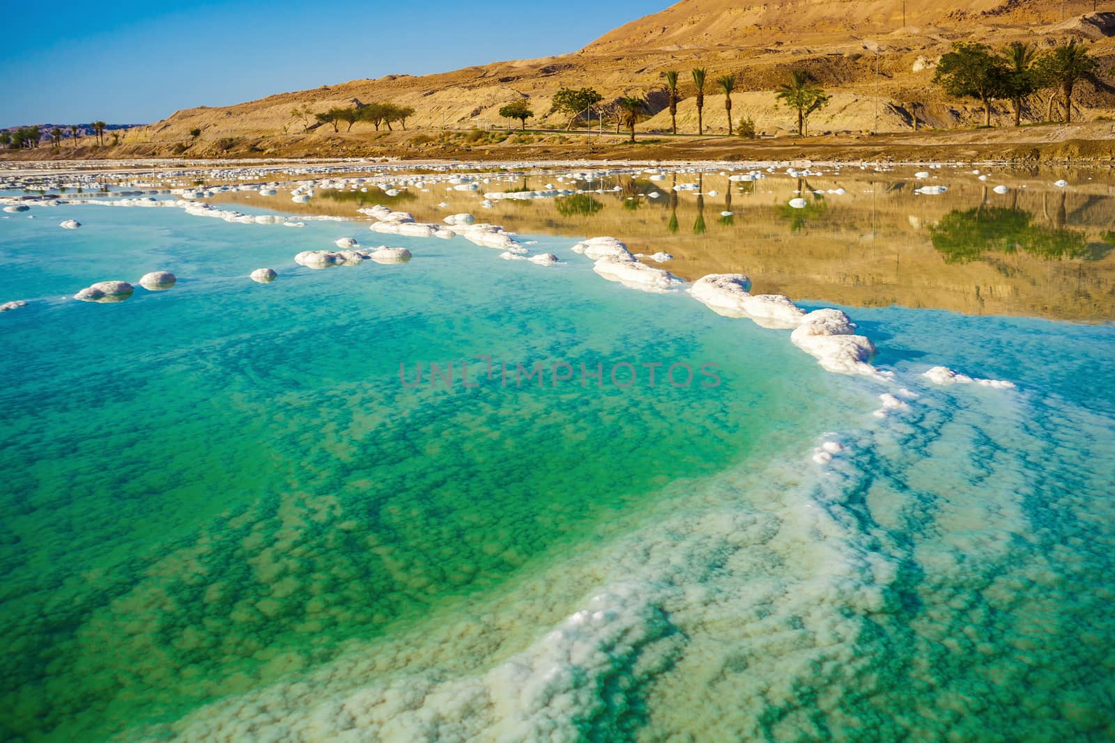 landscape with dead sea coastline sunny day