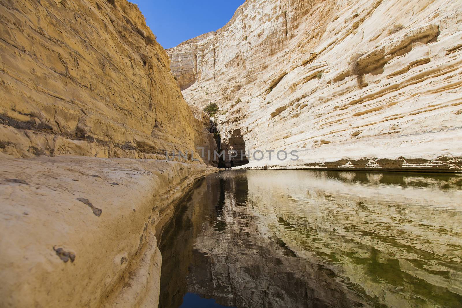 a deep gorge in the Negev desert with a natural water 