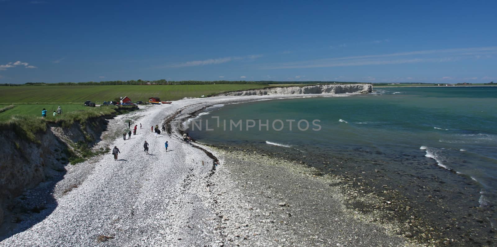 Scene from Sangstrup Klint in Denmark