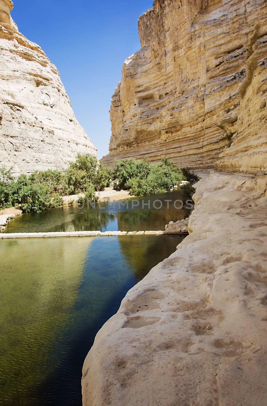 river in a rocky gorge sunny summer day