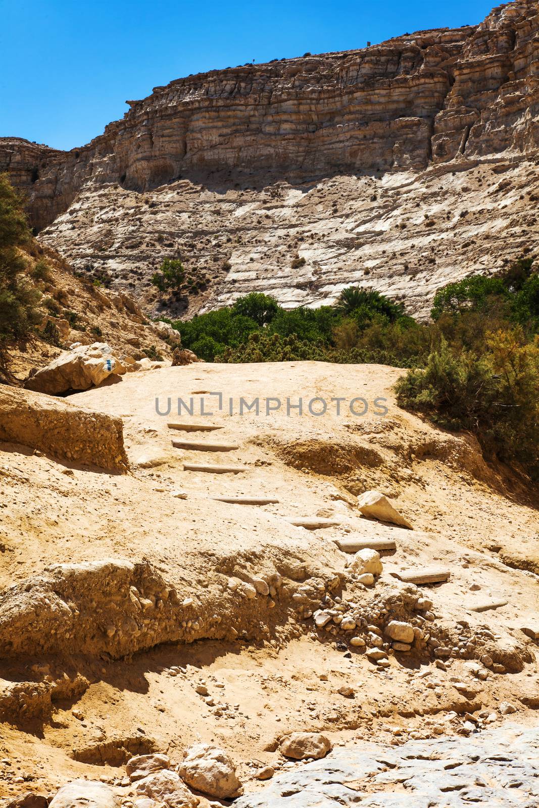 hiking trail along the gorge in the Negev desert