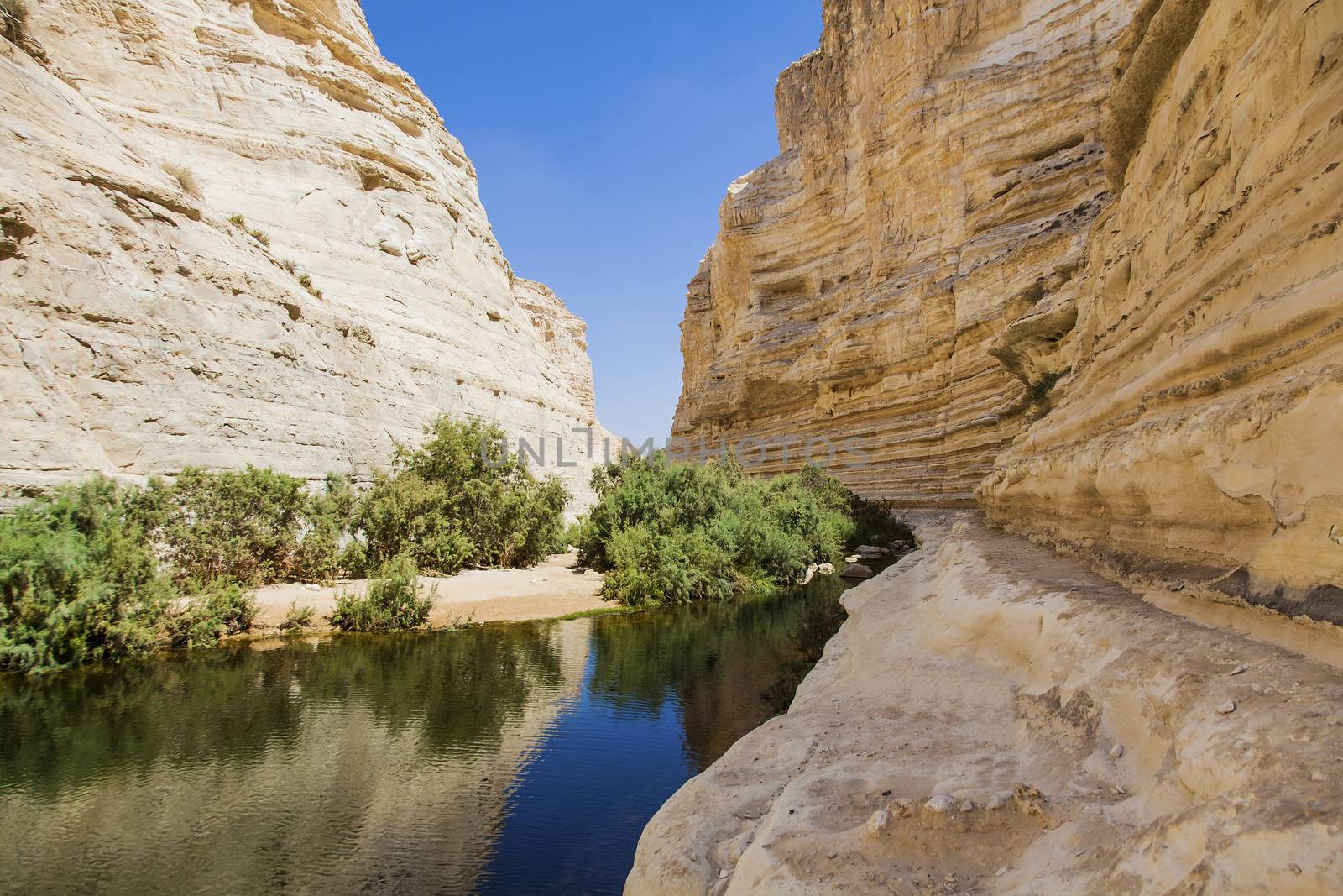 a deep gorge in the Negev desert 