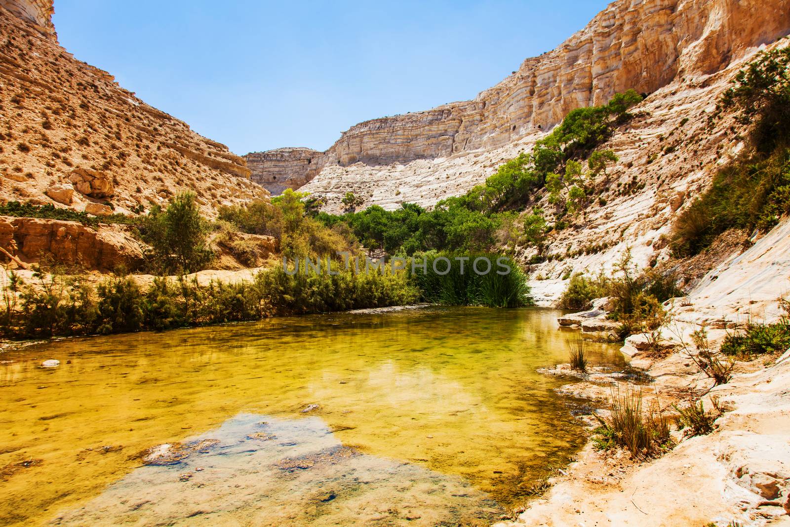 gorge landscape with a pond in the Negev desert