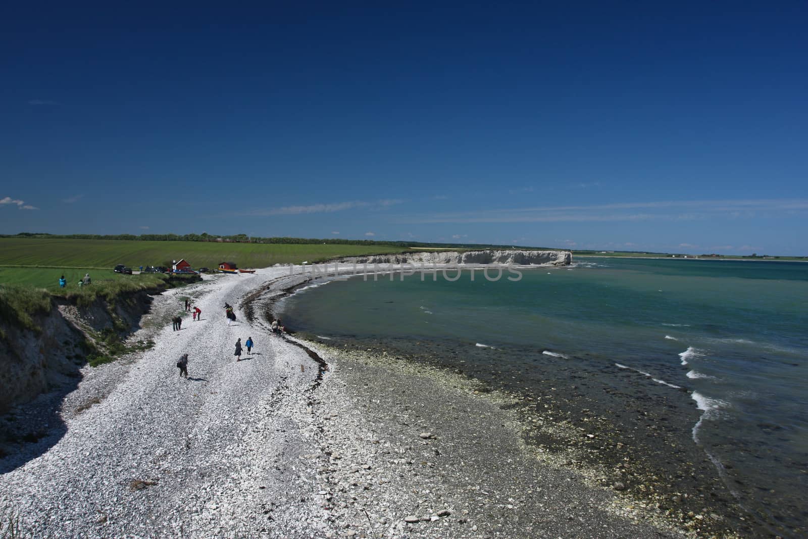Scene from Sangstrup Klint in Denmark