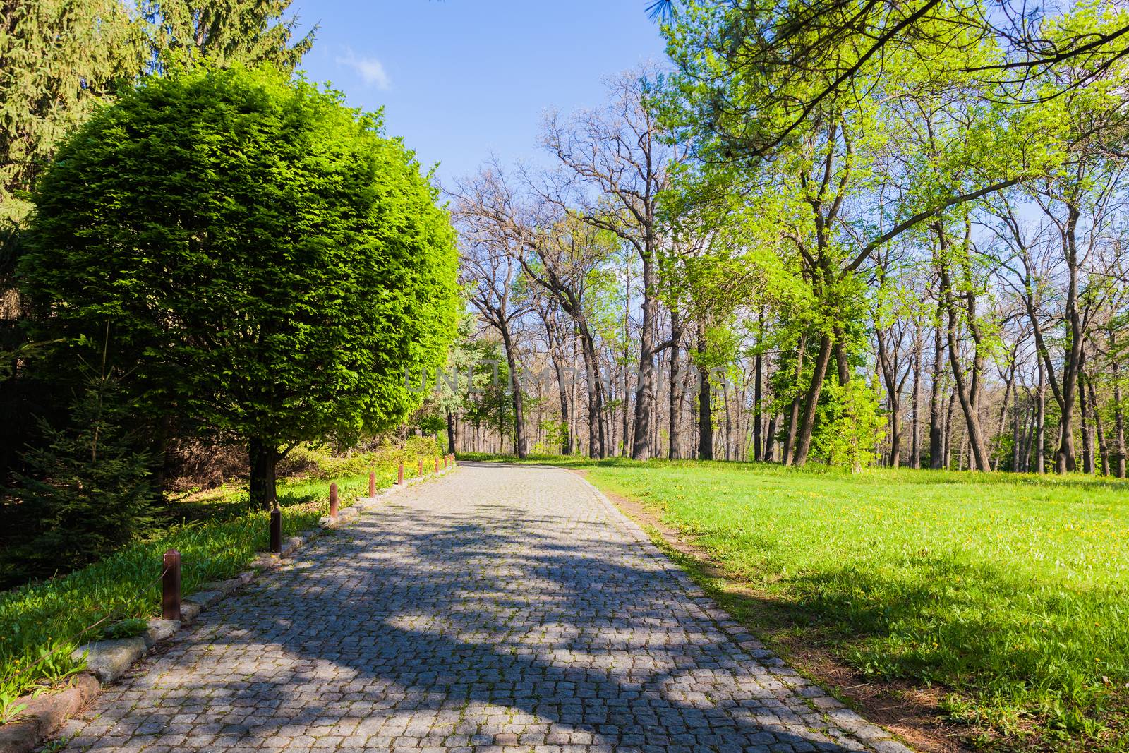 spring landscape Sophia Park in Uman, Ukraine