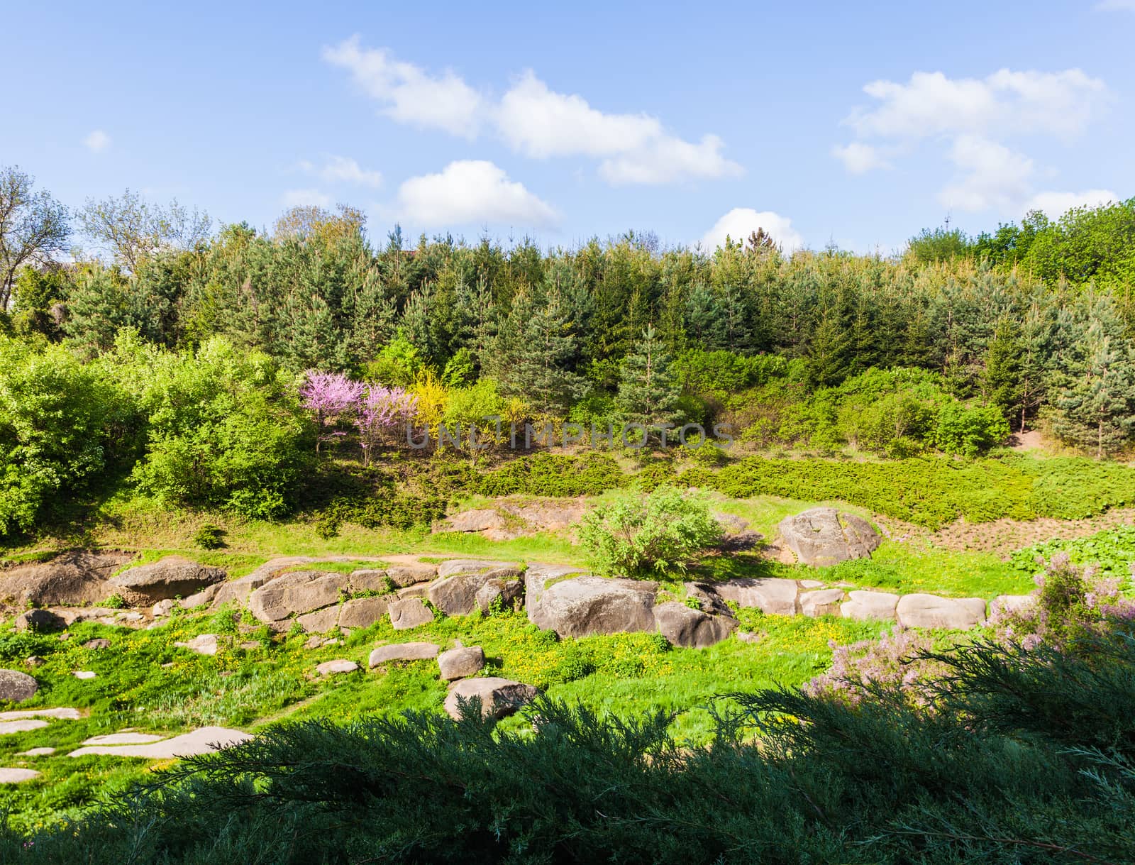 green glade in the forest with big stones