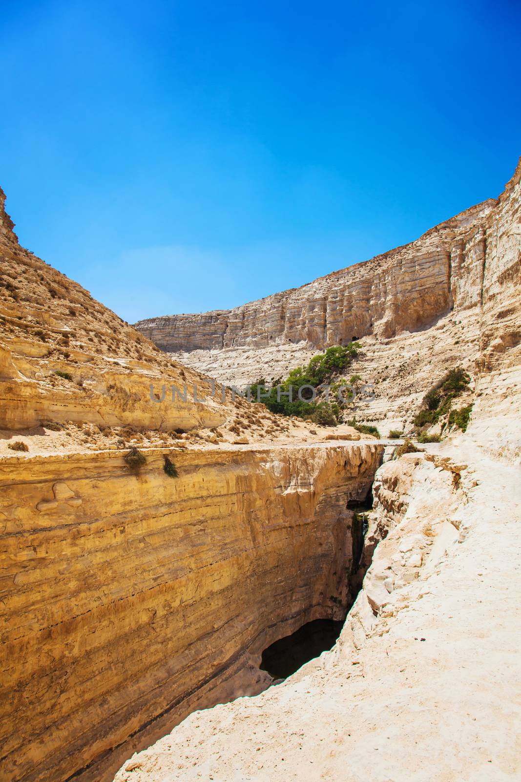 landscape of the gorge in the Negev desert