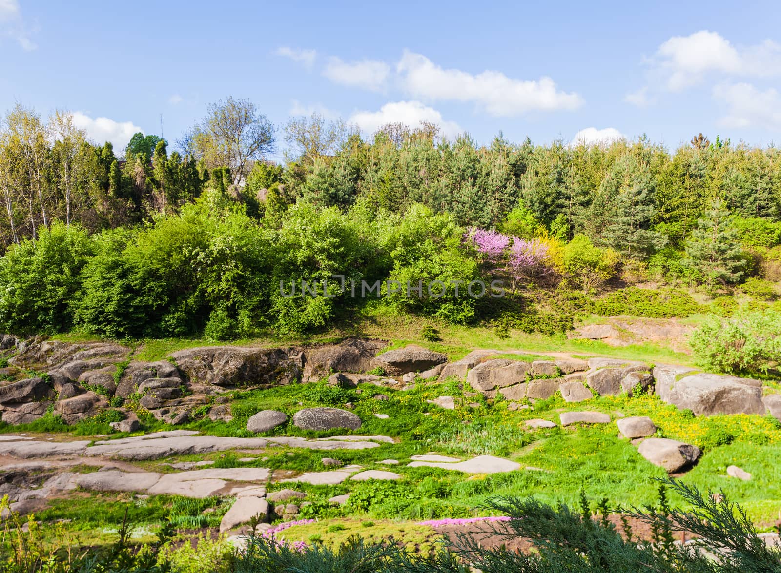 green glade in the forest with big stones