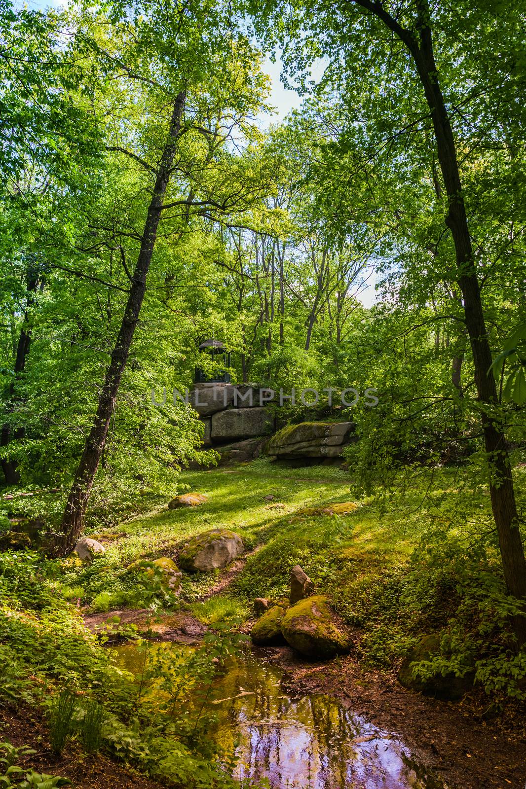 landscape woods and creek with large rocks on the shore