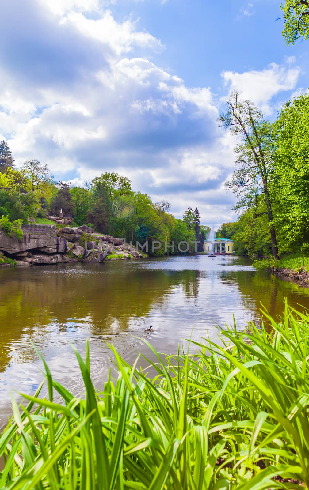 landscape lake in the park of Sophia