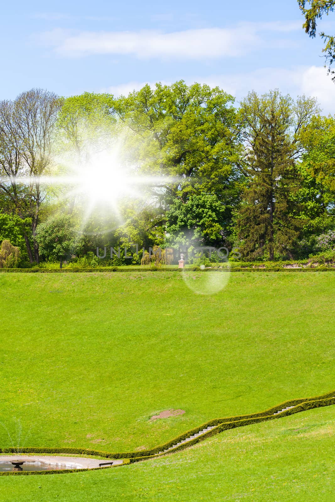 view of green grass and trees in the spring