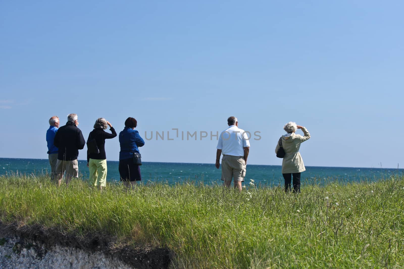 Scene from Sangstrup Klint in Denmark