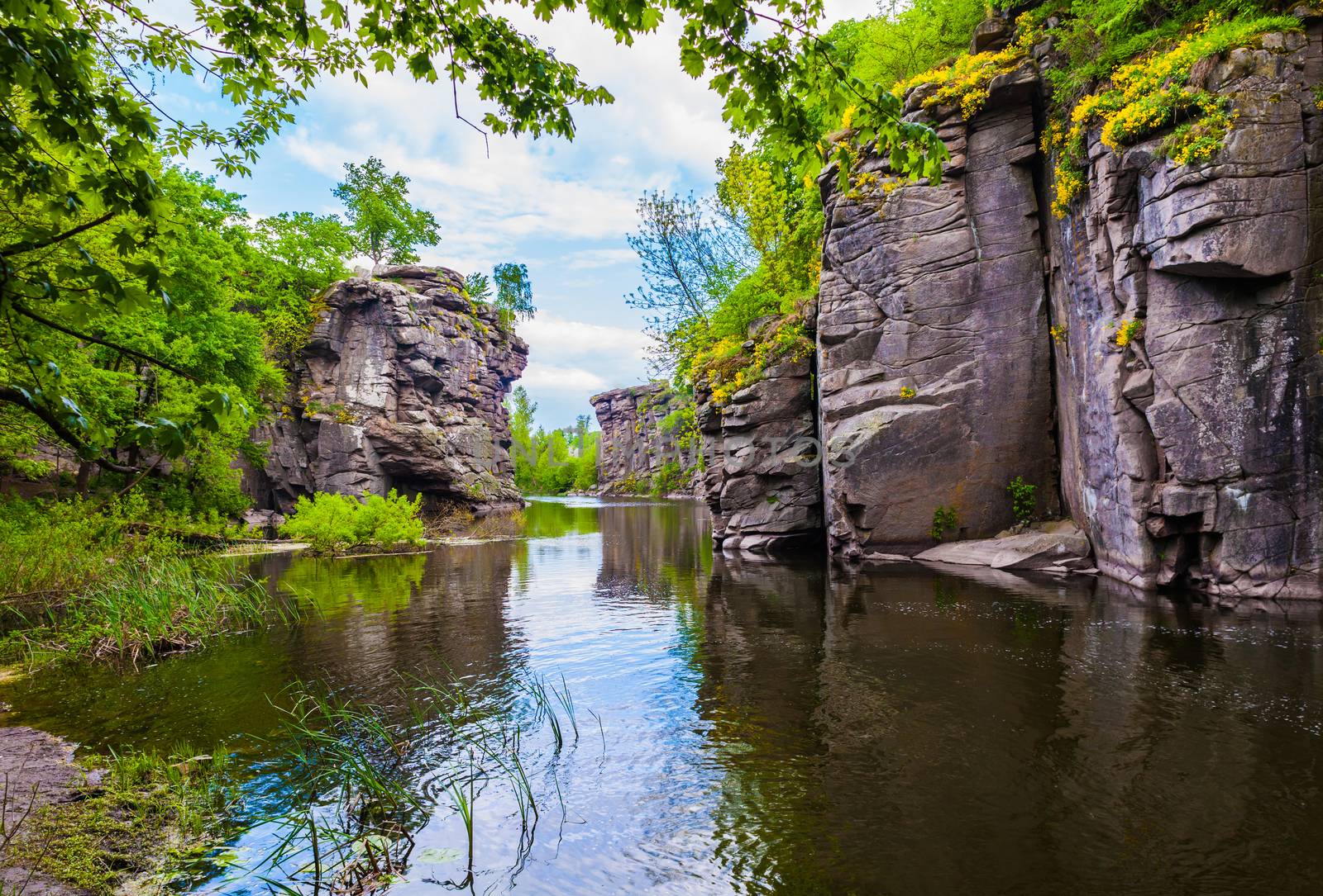 scenery rocky canyon with river and forest