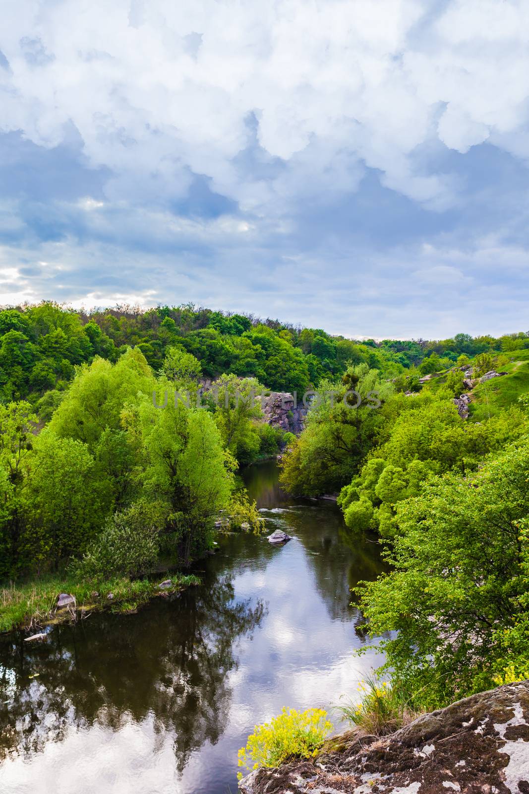 landscape green forest and river, spring day