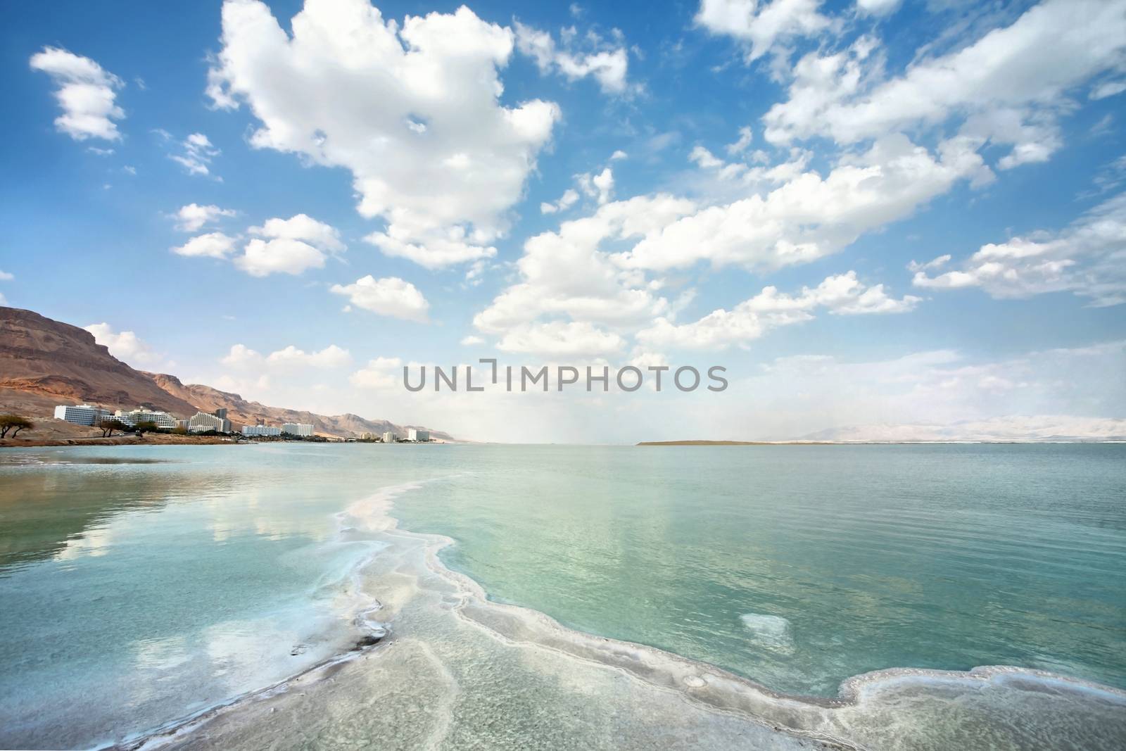 types of dead sea on a summer day