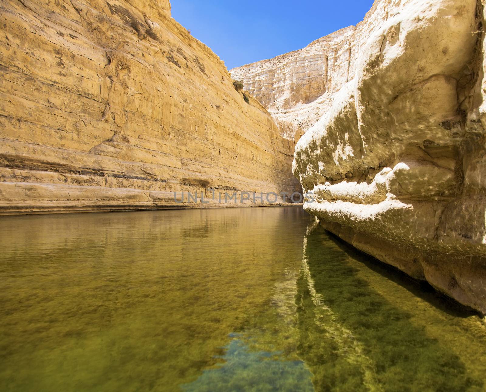 a deep gorge in the Negev desert with a natural water source