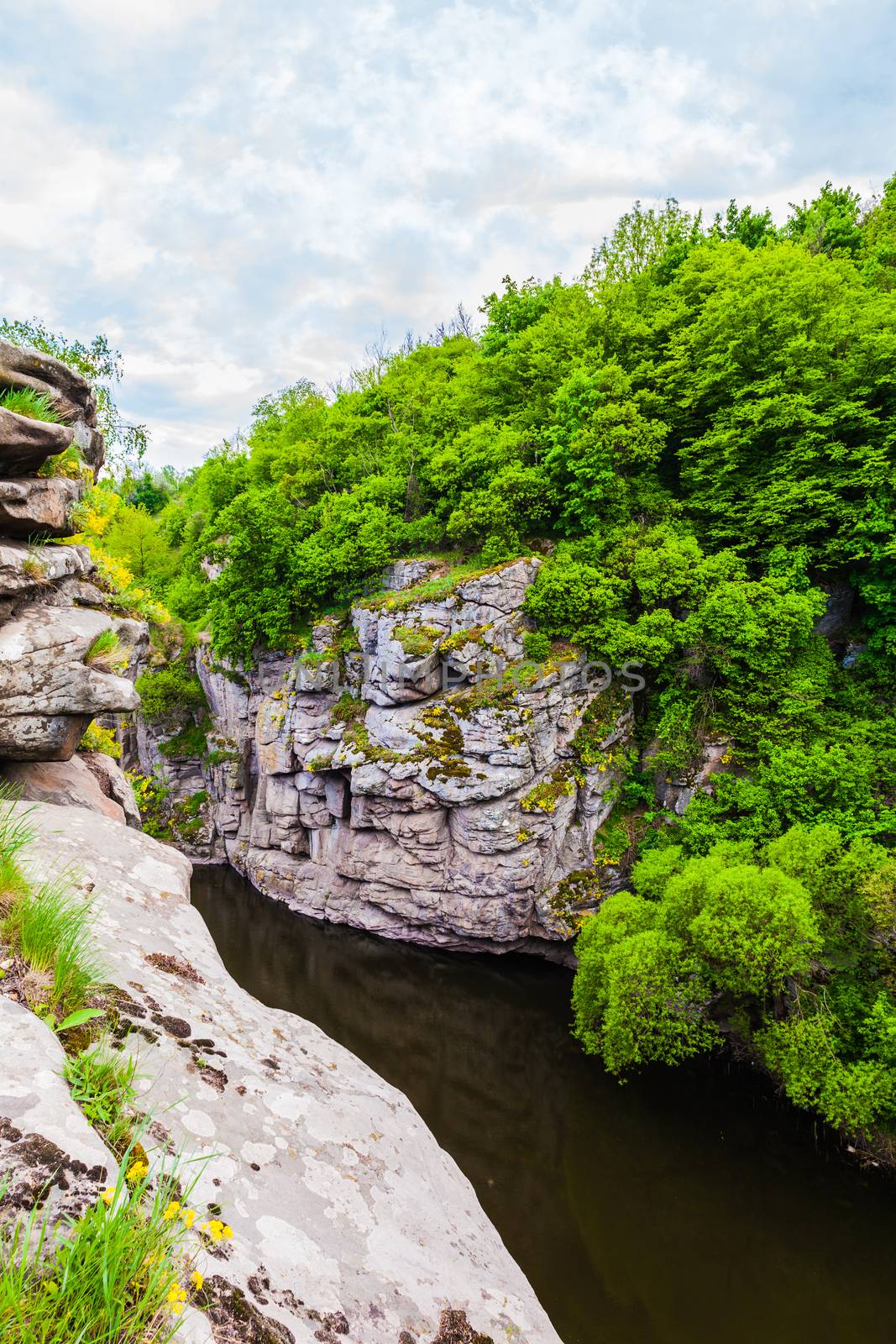 River flowing between rocks where the forest grows