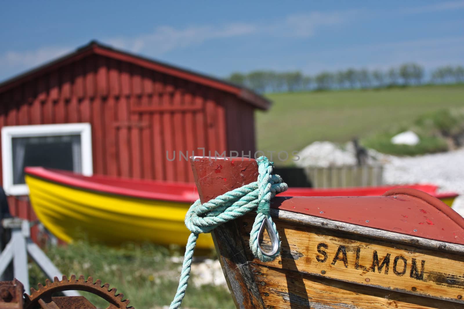 Scene from Sangstrup Klint in Denmark