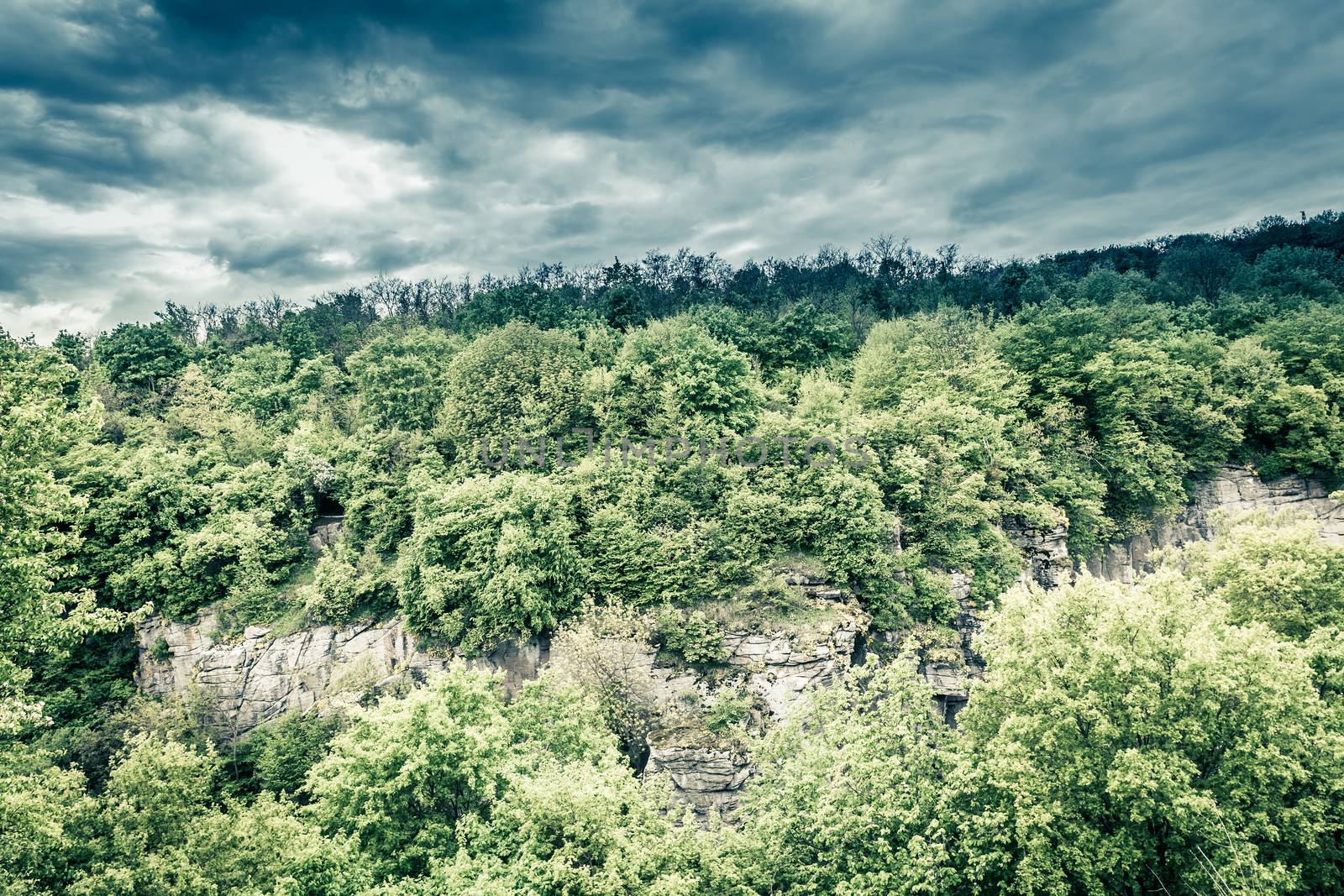 rural landscape at the edge of canyon trail